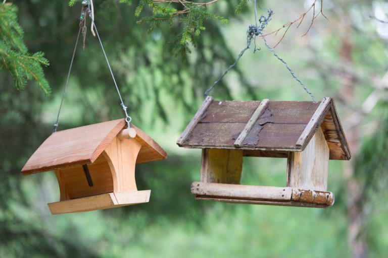 DIY Bird Feeder Projects: Creative Ideas for Small Spaces