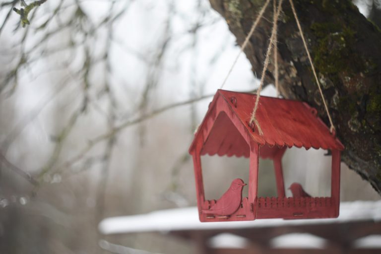 Choosing the Right Materials for Safe and Durable Bird Feeders